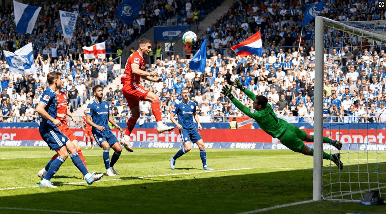 国外梯子免费试用，畅享无限上网体验尽在指尖